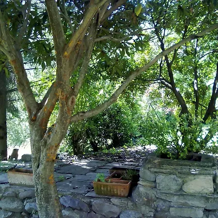 Bed & Breakfast Casa Visnenza
